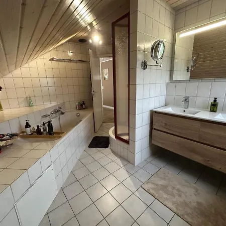 Fredeena Appartment Aach Aach (Konstanz)